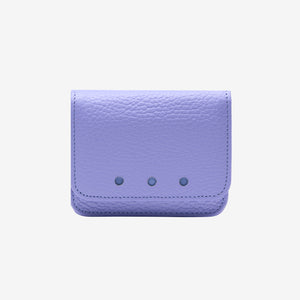 12 of 17: Ascot | Flapover Card Case-Tusk